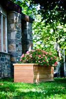 Teak Planter/Tree Box - 60x20x20